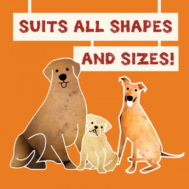 Pawtato TUBES Seaweed