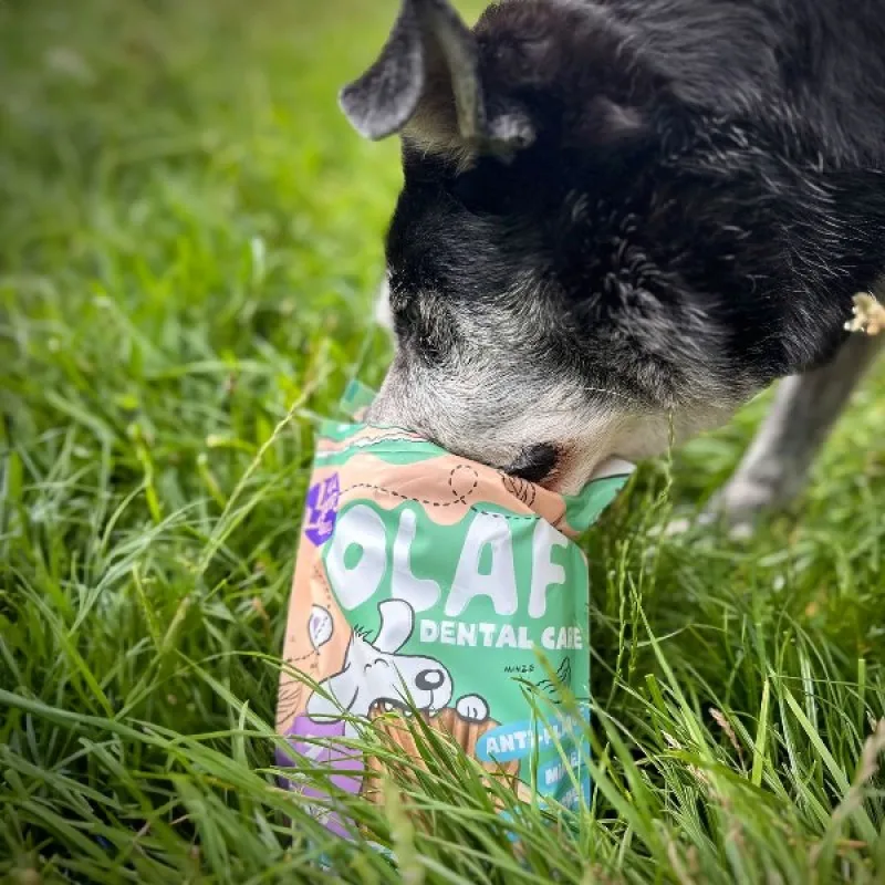 Vegan4Dogs OLAF