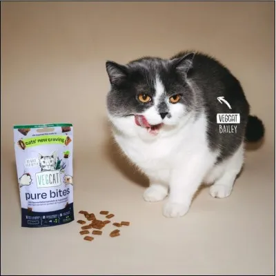 Vegcat PURE BITES