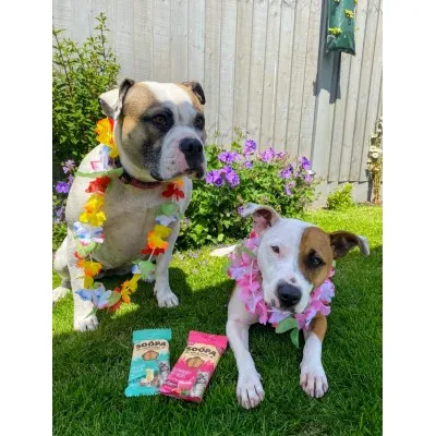 Soopa Dentals Jagodni Dog-Quiri