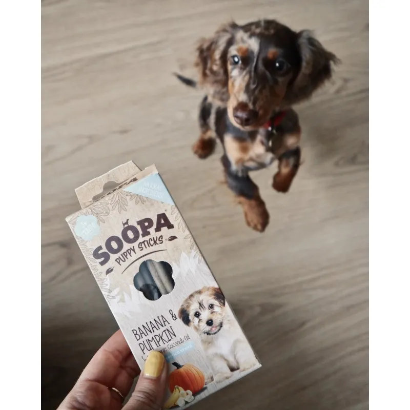 Soopa PUPPY Dentals BANANA in BUČA