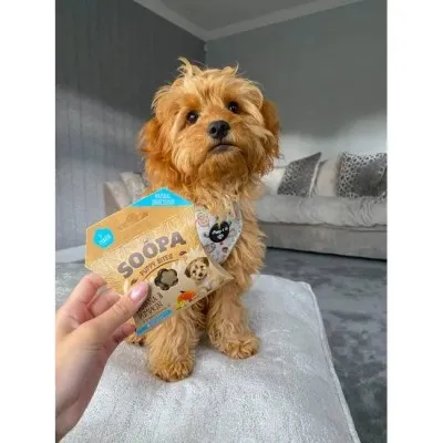 Soopa PUPPY Bites BANANA in BUČA