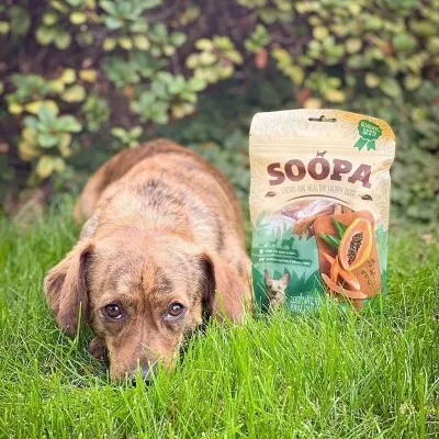 Soopa Chews PAPAJA