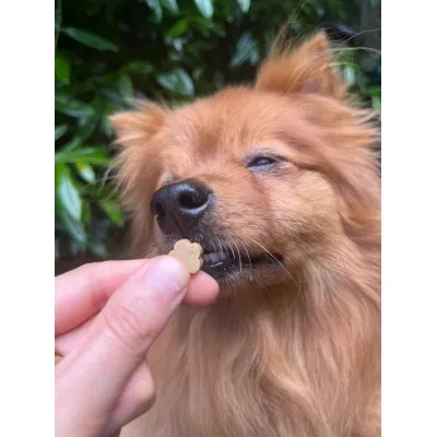 Soopa MINI Bites BANANA in BUČA